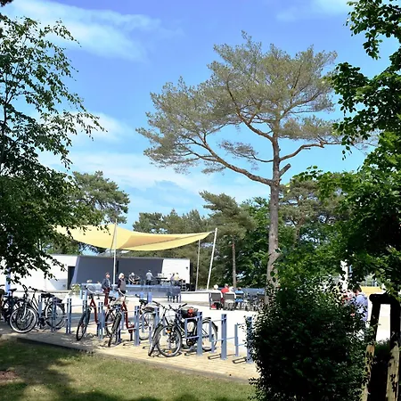 Apartment Ferienwohnung Moni - Haus Duneneck Zempin